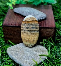 Cabochon de jaspe photo