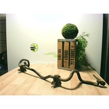 Barre stabilisatrice Nissan Qashqai (J10) SUV 1.5 dCi DPF (K9K) 2010 54611EY10A