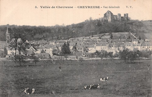Chevreuse vallee - 78, la