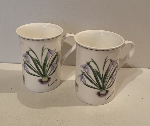 Fine bone china set two - fine,