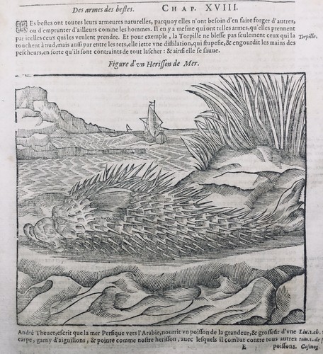 Ichtyologie 1614 diodon - ichtyologie,