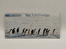 Nestlé MERVEILLES DU MONDE Carte N°4 "Le manchot"