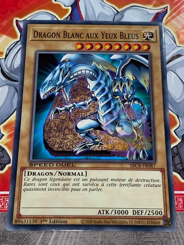 Carte dragon blanc - gi,