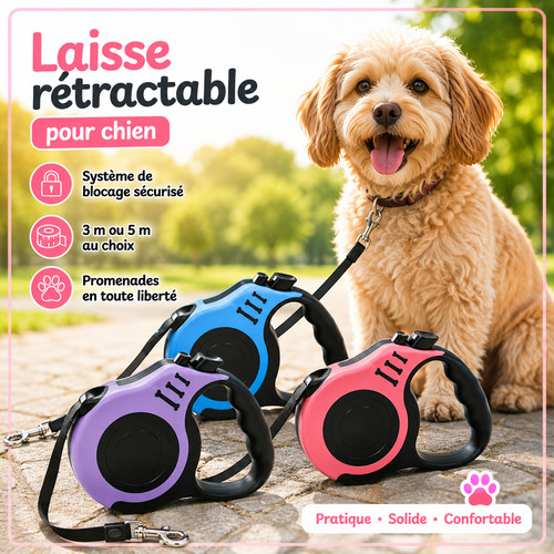 Laisse rétractable chien - laisse, 12