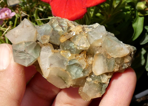 Quartz chloriteux grandes - quartz,