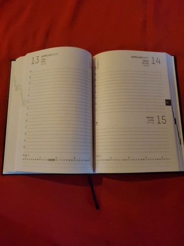 Agenda planner organizer 2025 - agenda,