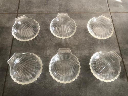 Lot coquilles saint - coquilles,