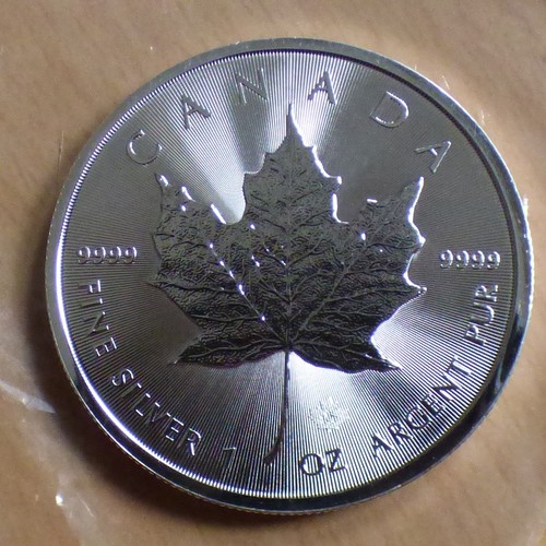 Canada maple leaf 2025 - canada,