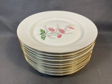 Lot de 12 assiettes plates en