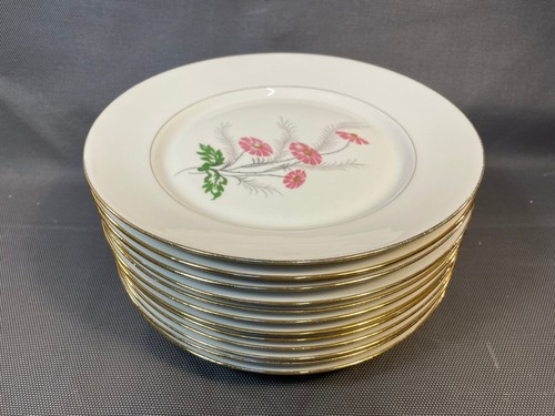 Lot assiettes plates en - de,