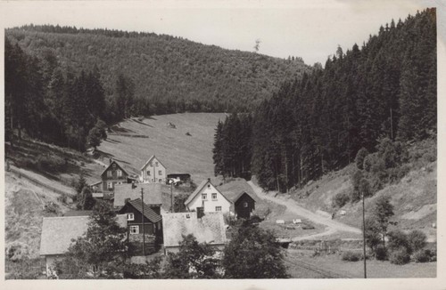 Goldisthal forêt de - goldisthal,