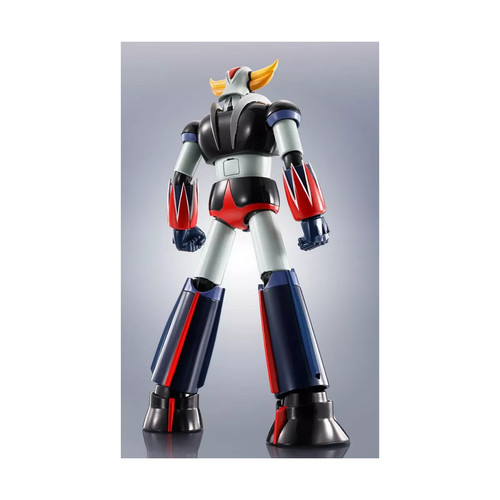 Tamashii nation robot spirit - nation,