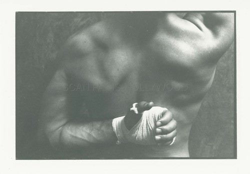 James fox male masculin - male,