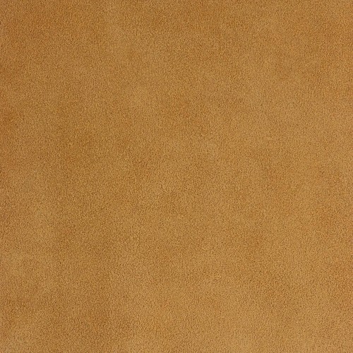 Morceau croûte cuir de - morceau,