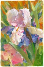 iris en fleur, tableau
