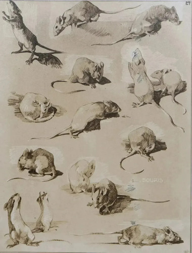 Mathurin meheut la souris - meheut,