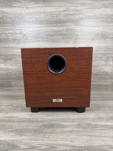 Acoustic image sw100d - acoustic, powered