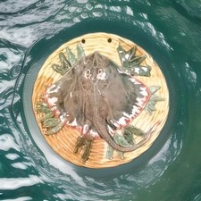 Rare Trompe L'oeil Signé Thomas Sergent École De Palissy Barbotine Majolique 19e