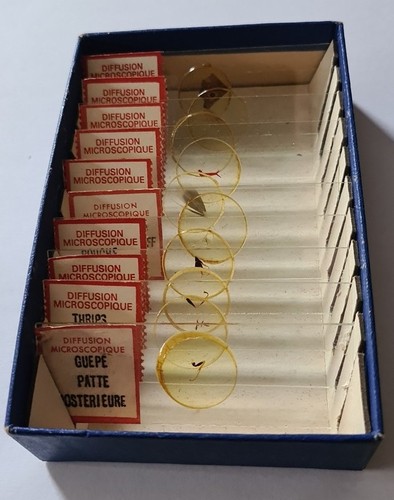 Coffret lames préparées - de,