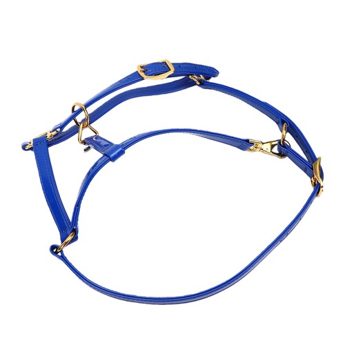 Bride cheval cuir - cheval, en