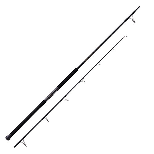 Toupie voyage tenryu spike - de,