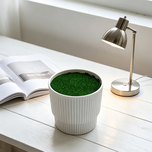 7x8cm pour mini pot - mini,