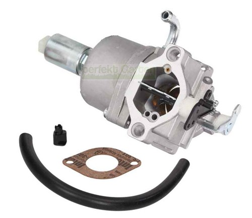 Carburateur pour briggs - pour,