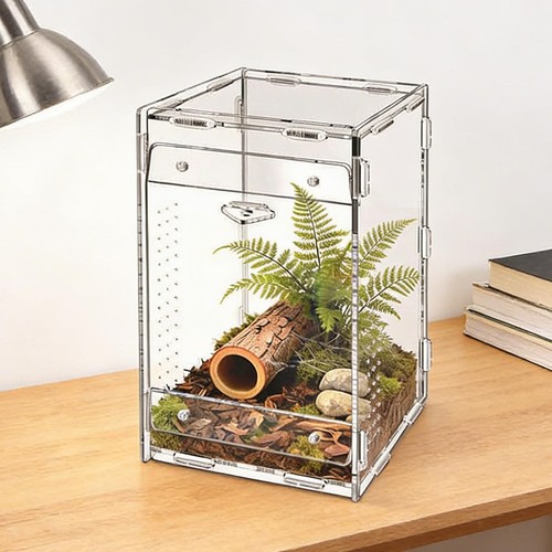 Terrarium pour reptiles