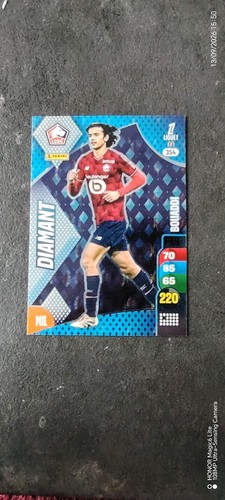 Panini adrenalyn ligue 1 - ligue,