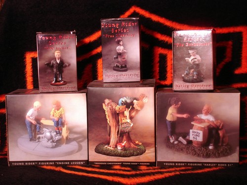 Harley young rider series - rider,