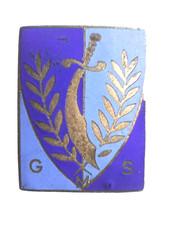 insigne INFANTERIE D'AFRIQUE -