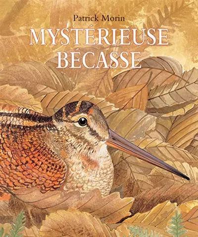 Mystérieuse bécasse patrick - bécasse,,