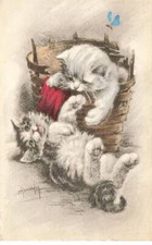 CHAT #FG35307 CHATS CAT KATZE CHATON JEU DANS UN PANIER PAR ILLUSTRATEUR NAUDY