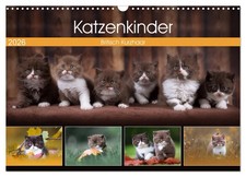 Chatons - British Shorthair (Calendrier mural 2026 DIN A3 horizontal), CALVENDO 