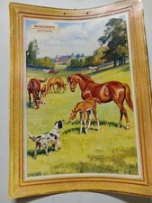 D Plaque carton Manufrance