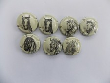 capsules champagne Vadin