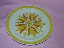 Style house ironstone dinner - style,