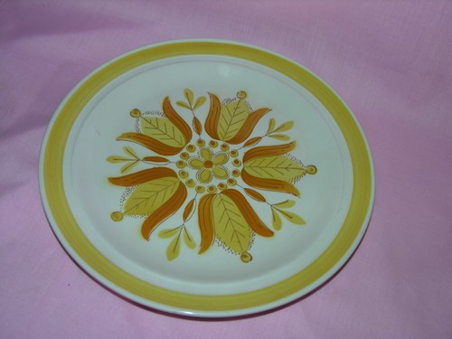 Style house ironstone dinner - style,