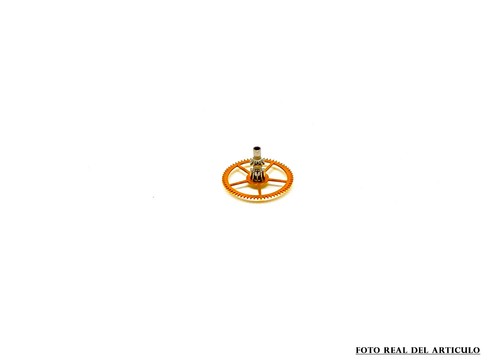 Pièce montre de - pièce,