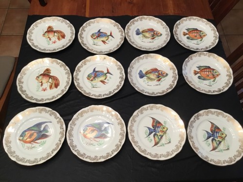 Assiettes porcelaine - 12,