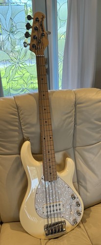 Near mint ernie ball - mint, man