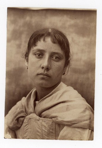 Gio marziani albumen - albumen, photo