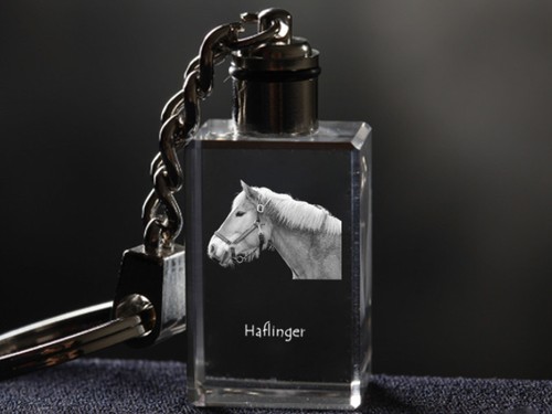 Haflinger cheval cristal - cheval,