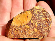 BLOC DE JASPE SERPENT BRUT 47mm, 60g