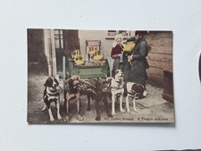CPA BELGIQUE attelage de Chiens du Laitier Flamand