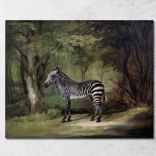 Zèbre 1763 George Stubbs