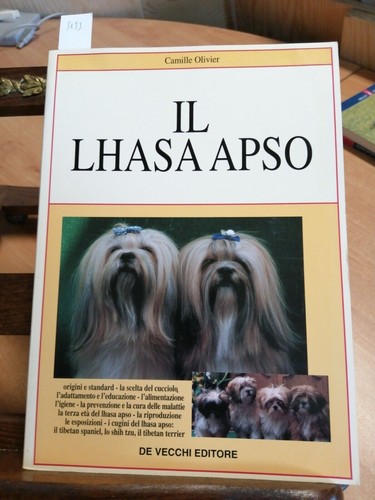 Apso lhasa camille - il,