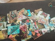 rare gros LOT  156 CARTES POSTALES anciennes papillon-cpa 