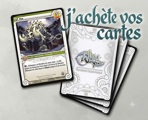 Cherche carte wakfu tcg - wakfu,