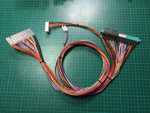 Sega boardmaster harness - boardmaster, jamma
